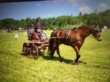 Annette Roed med Bravo
