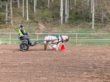 Taget af Jette Malthe-Bruun